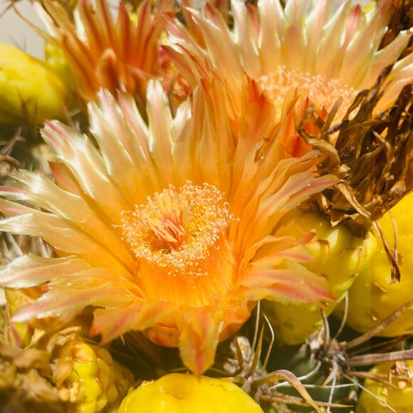 Meet your Posher, Christina - Picture 8 of 8